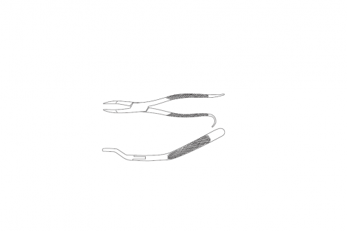 Tooth Forceps For Wolf Teeth, Box Joint, Fully Angled, Jaws Fully Closed
