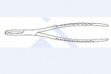 Harrison Bone Holding Forceps