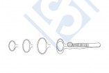 Wilde Entropion Forceps