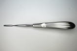 Rodent Molar Rasp