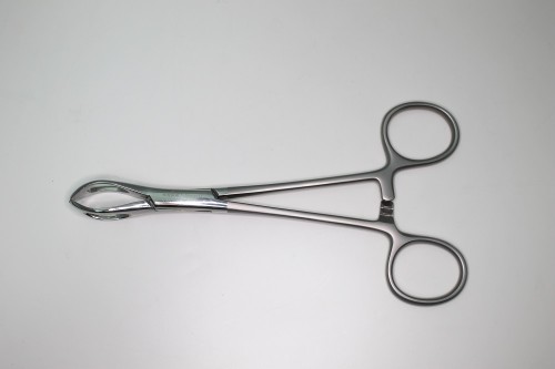 Lane Tissue Forceps