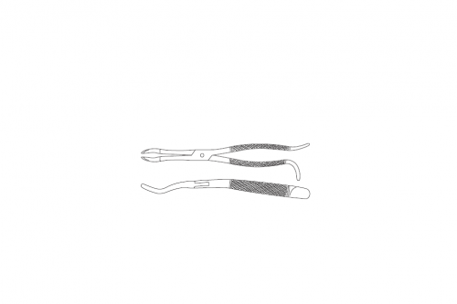 Tooth Forceps For Wolf Teeth, Box Joint, Angled, Extended Jaw