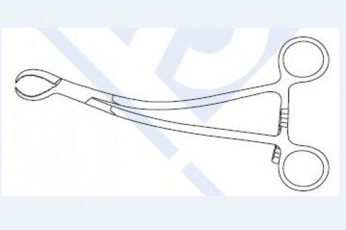 Burns Bone Holding Forceps