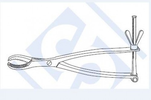 Hey Groves Bone Holding Forceps