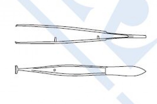 Barraquer Fixation Forceps