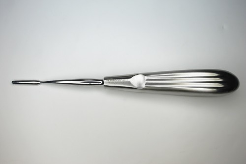 Rodent Molar Rasp